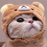 Avatar de Camilo Acosta