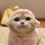 María José Valdés