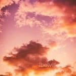 Avatar de Victoria Beltrán